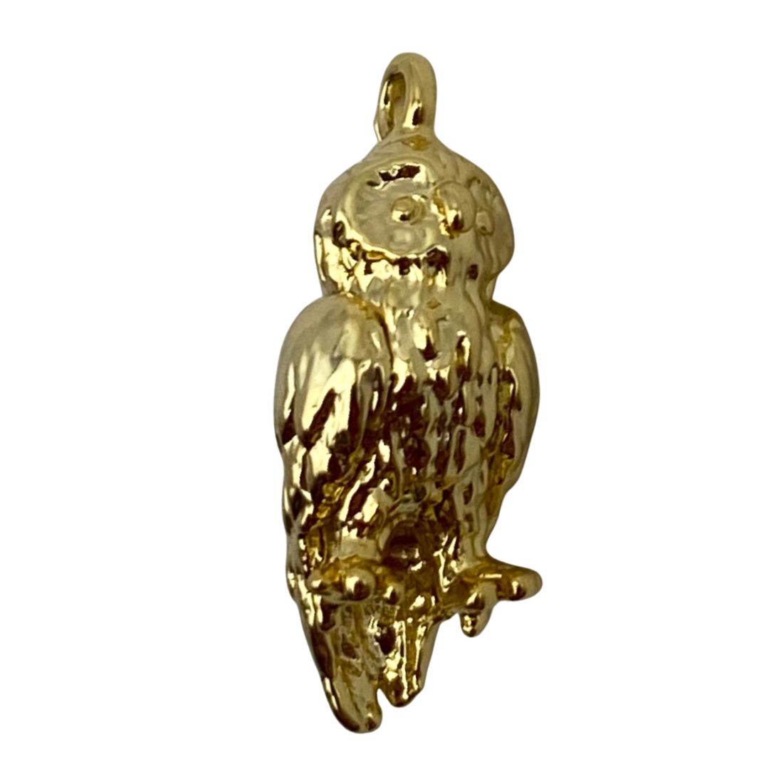 Small Owl